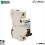 2727-automatski-osigurac-tdz-b-1p-20a/automatski-osigurac-tdz-b-1p-clim-001